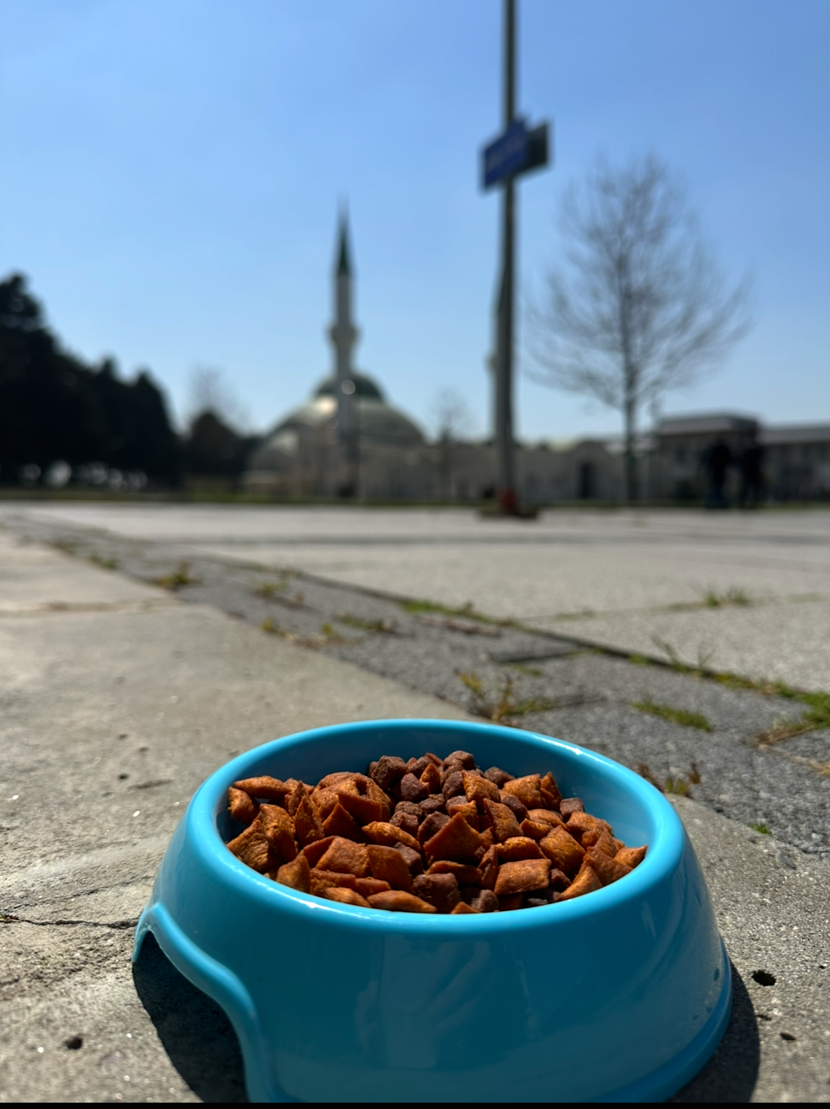 Mavi Mama Kabı 0.20 Lt